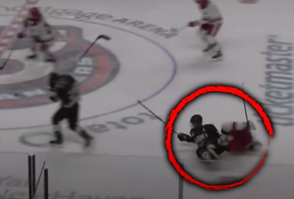 Ex-NHL Player Dies in Freak Accident on Ice